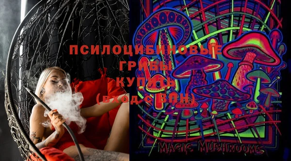 круглые Няндома