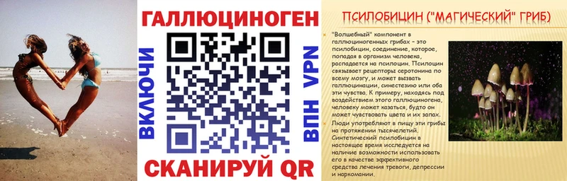 Псилоцибиновые грибы Cubensis  ОМГ ОМГ ТОР  Алейск  как найти наркотики 