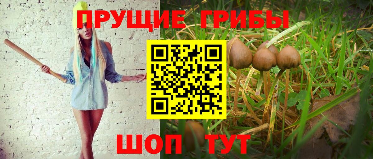 Алейск  Галлюциногенные грибы прущие грибы  Вход с VPN  Псилоцибиновые грибы Cubensis 