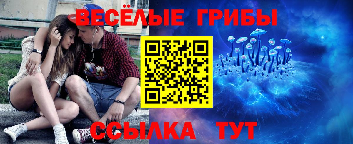 Псилоцибиновые грибы MAGIC MUSHROOMS Алейск